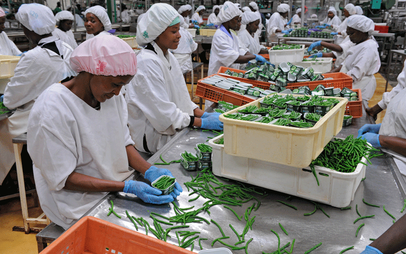 Kenya registered slower  export growth in August