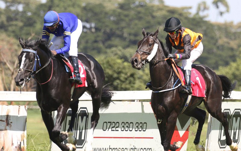 High-octane action on display as racing returns to the Ngong Racecourse