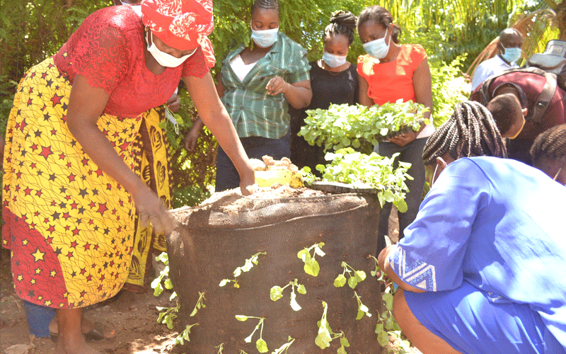 Former sex workers find joy and solace in farming