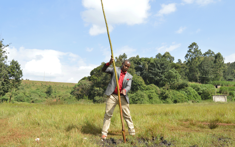 At forefront of protecting Kenya’s only highland bog