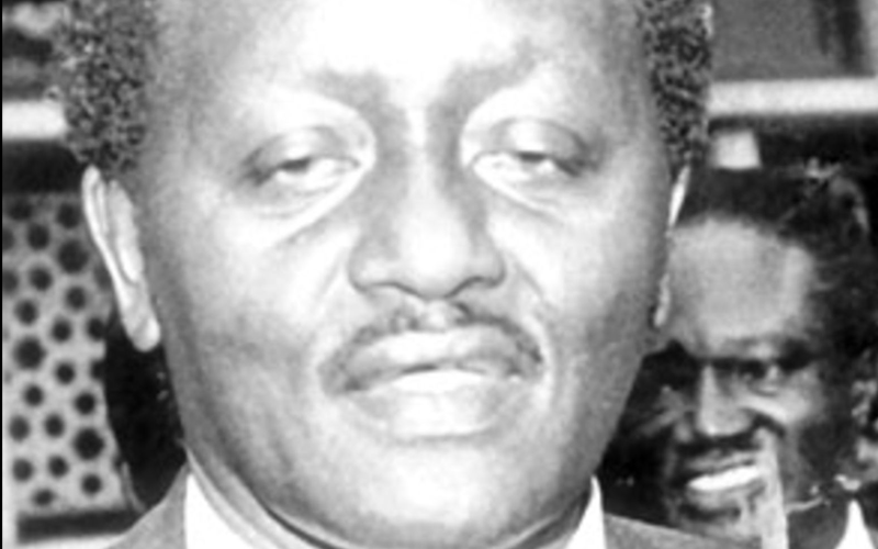 Directors ‘forged’ land titles to grab late Magugu’s estate