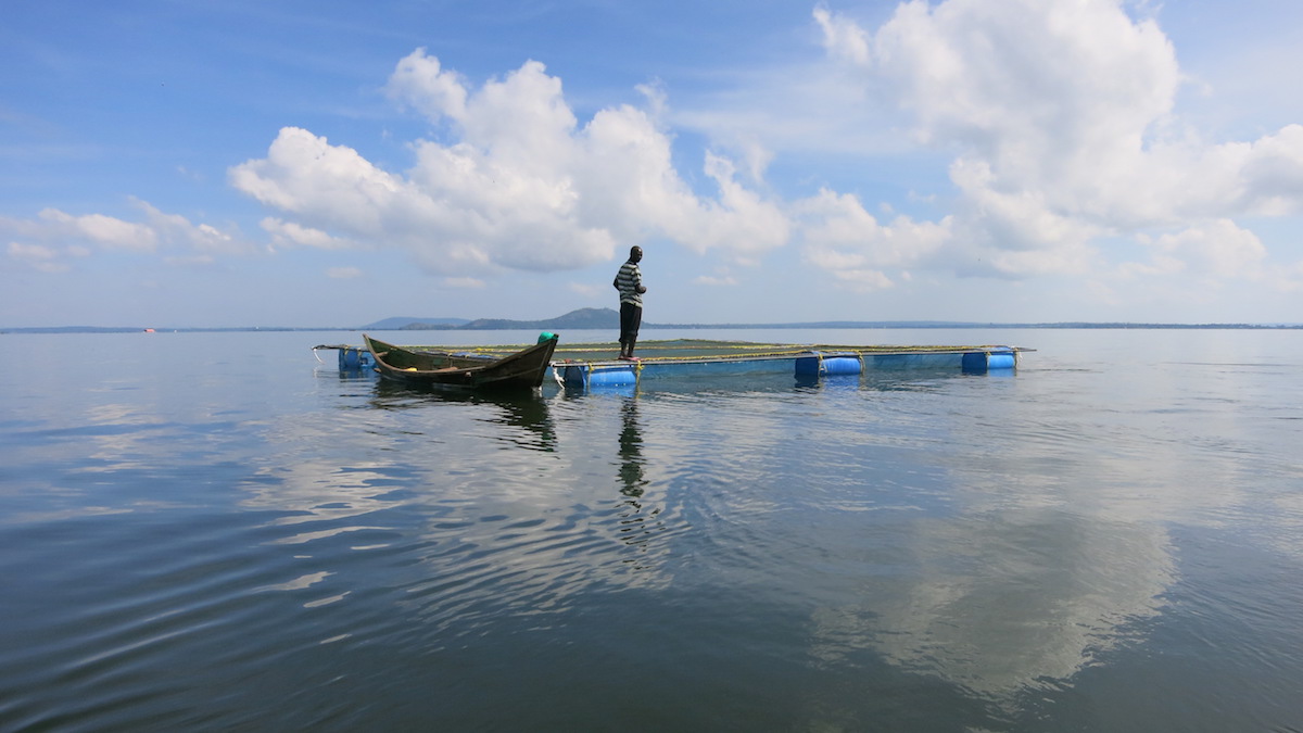 10 people killed after boat capsizes in Lake Victoria