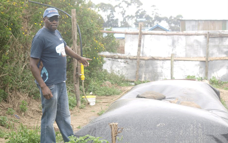 Farmer turns cow dung into clean fuel, fertiliser