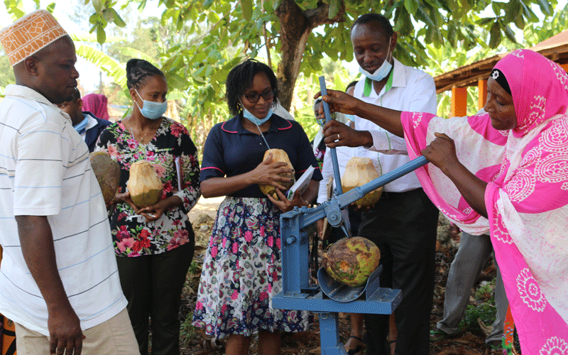 JKUAT develops technology to boost coconut value chain
