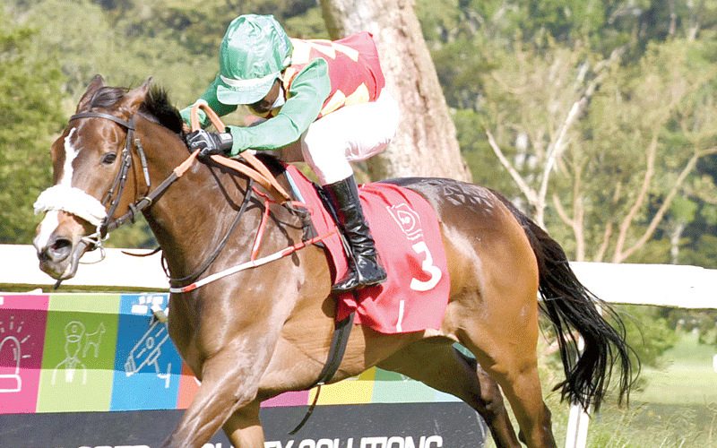 Sercombe stable shines in Cup events