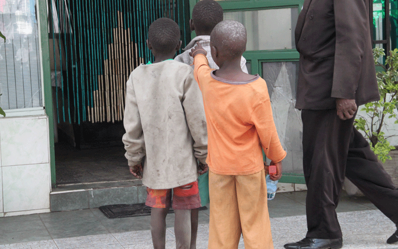 Tale of street children abandoned in forest