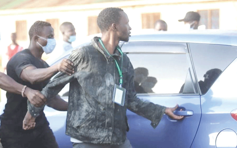 Violence mars Msambweni mini poll as MPs exchange blows