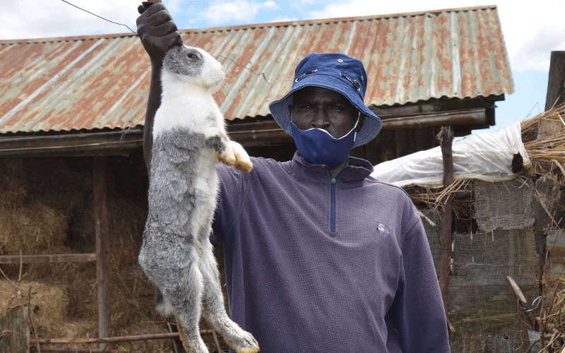 Nyandarua’s riddle of high malnutrition in land of plenty