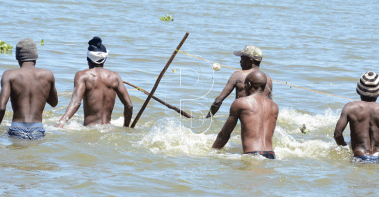 Learners in Naivasha now turn to fishing after dropping school