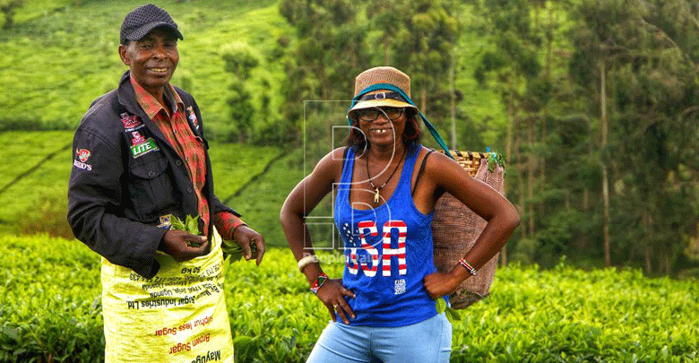 A blend of tea and adventure at Karatina green estates