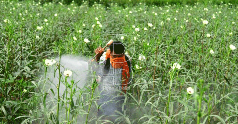 Pesticides study wake up call for food safety regulators