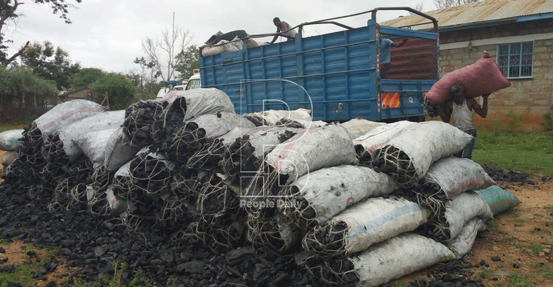 How Kitui charcoal ban is undermining conservation efforts