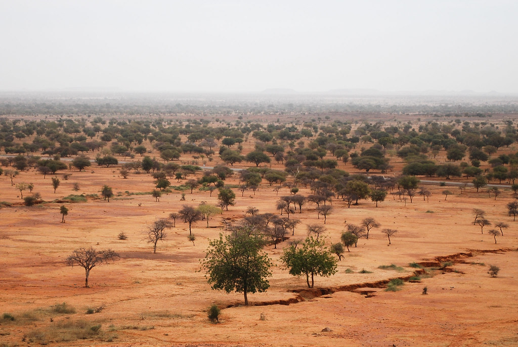 A new epoch beckons for the resilient Sahel