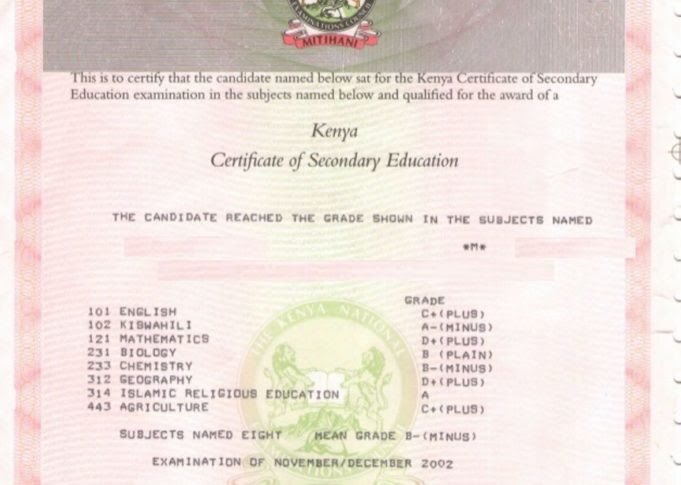 Agency raises red flag over fake certificates