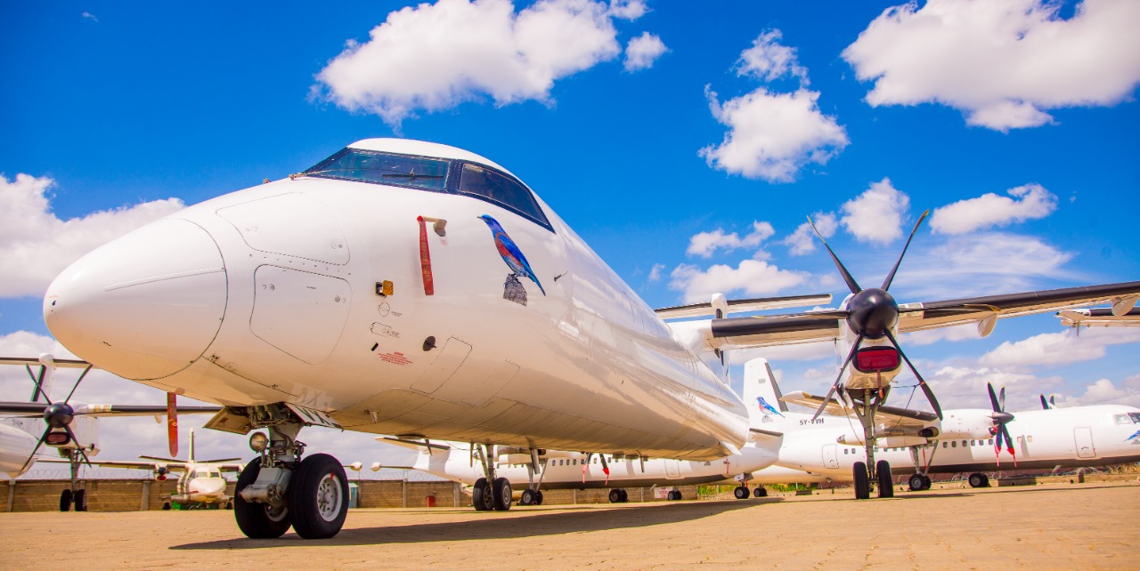 Bluebird Aviation cargo flights to continue despite lockdown