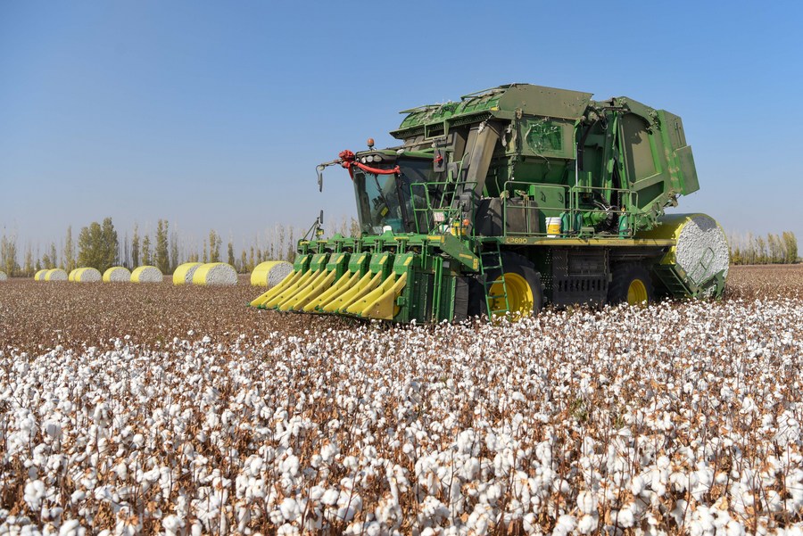 Much ado about Xinjiang cotton