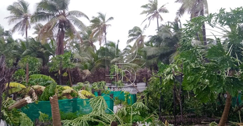 Meteorological department allays fears of effect from Cyclone Jobo