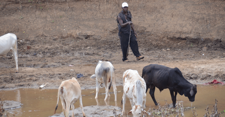 Rehabilitation of River Voi offers hope to locals