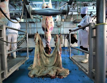 Transformation of meat agency to power Big Four Agenda