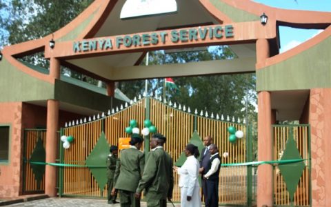 Kenya Forest Service headquarters in Nairobi.