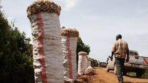 Police nab potato traders flouting packaging rules in Nyandarua