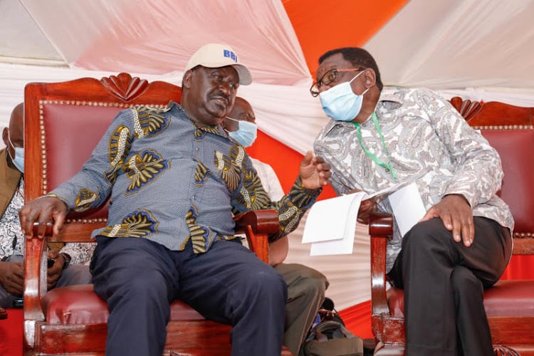 Raila: I have no plans to kick out Orengo from Senate minority seat