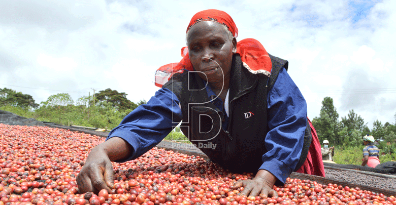 Munya, Senate row delays coffee sub-sector reforms