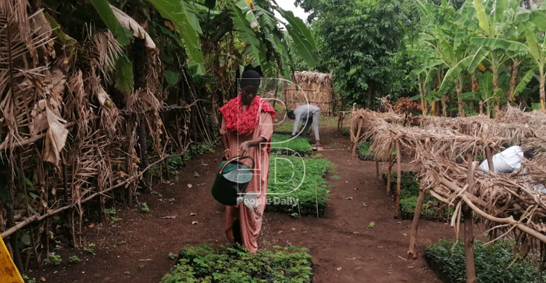 Going indigenous to fight climate change impact