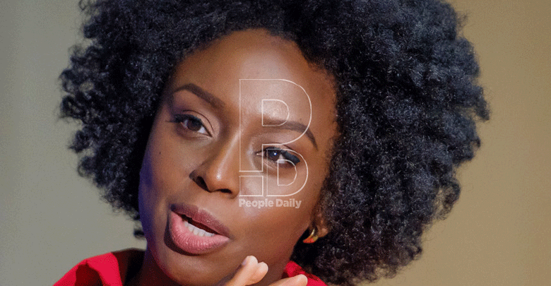 Chimamanda essay to ‘self-righteous’ social media users