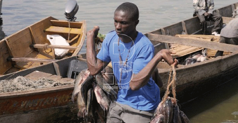 Fish farming on ascending swing in Mt Kenya