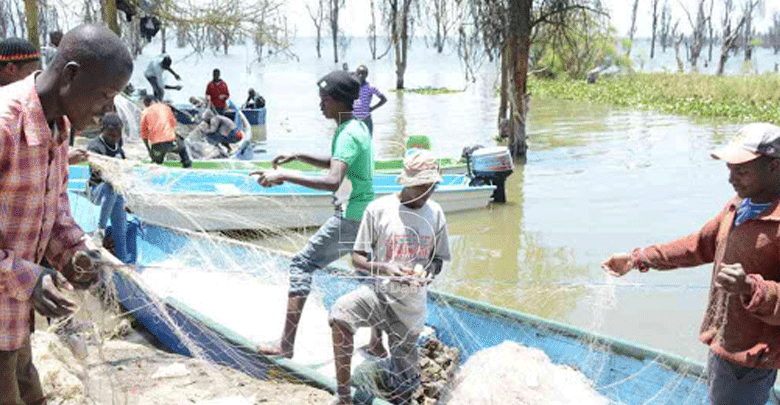 Government outlaws Lake Naivasha night fishing to curb poaching