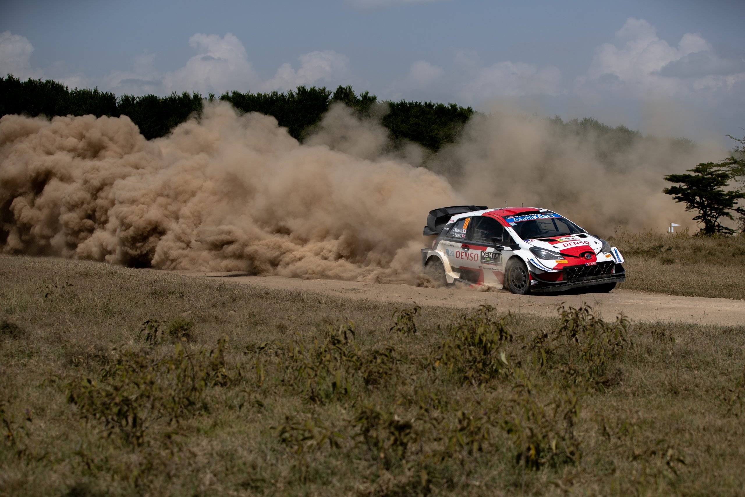 WRC: Katsuta leads the safari