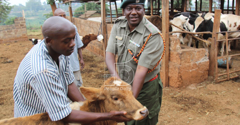 State’s sale of prisons livestock queried