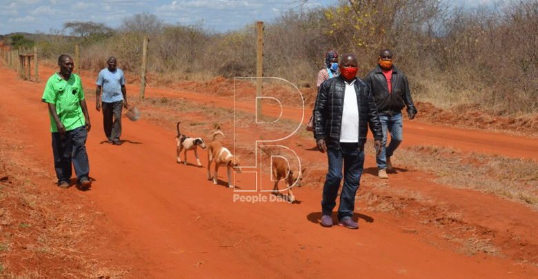 Agency to erect 93-km electric fence in Tsavo