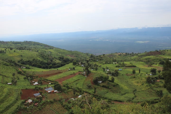 Kaptagat Forest targetted for restoration in tree planting drive