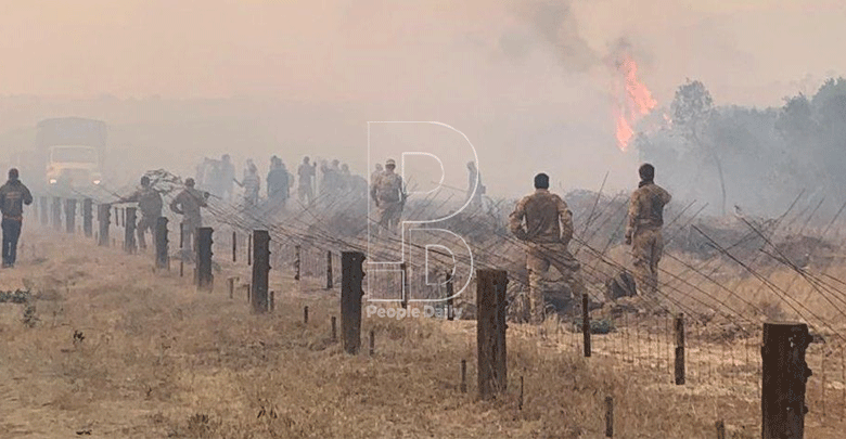 Kenyans sue UK army over fire at wildlife sanctuary