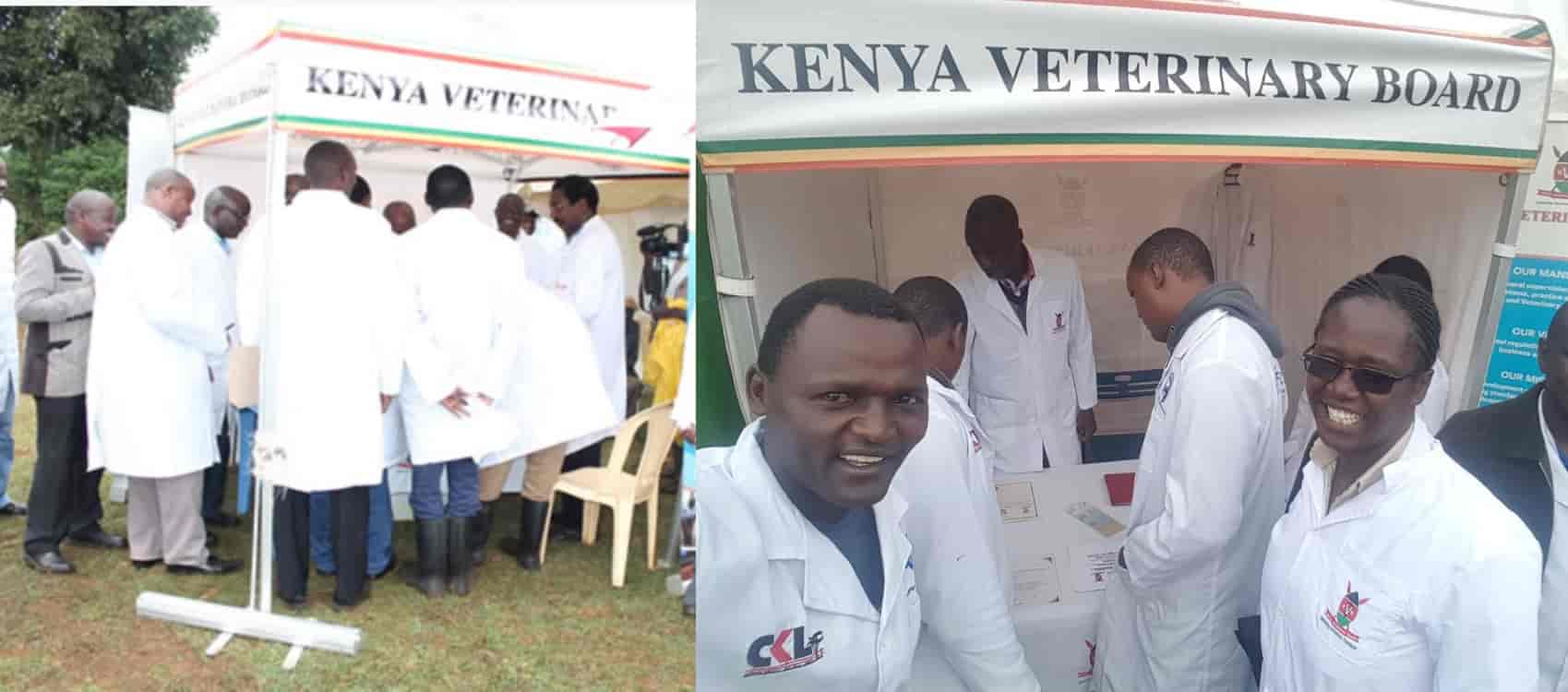 Counties urged to hire more ‘livestock doctors’