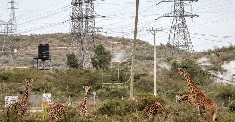 Keter’s bid to justify rise in power prices hits snag