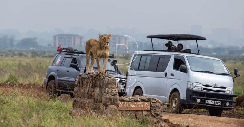 Unlocking Nairobi’s tourism potential using urban tourists