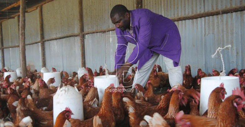 Poultry farmers decry poor uptake