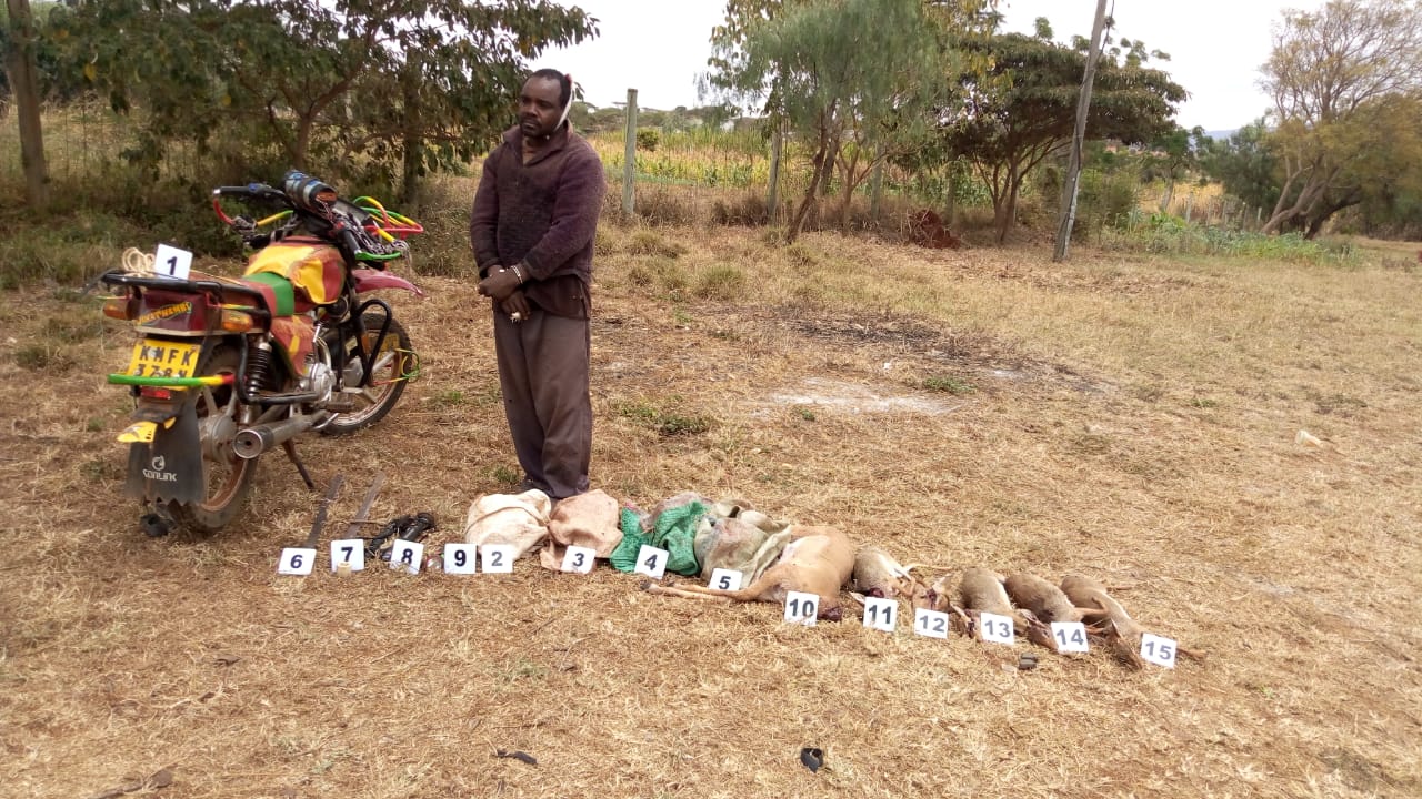 Drama as two poachers wrestle armed officers in Kajiado