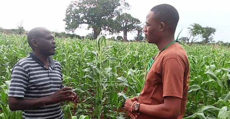 Climate change wrath sinks hopes of coastal farmers