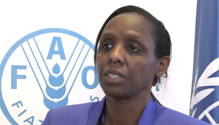 AGRA: Africa still faces food security concerns despite reforms