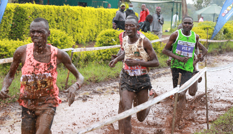 Kenya earns hosting rights for World X-Country Invitational Tour