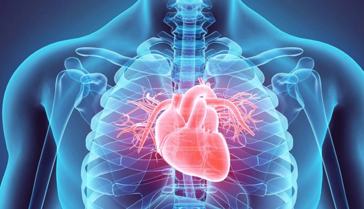 Ten fascinating facts you need to know about the heart