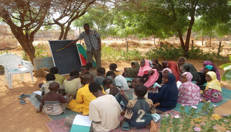 Culture undermining adult literacy among pastoral communities - study