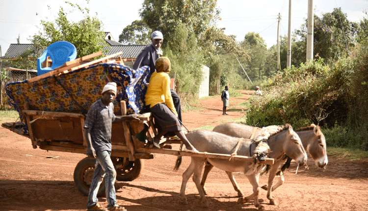 State urged to send KDF in conflict-torn Laikipia