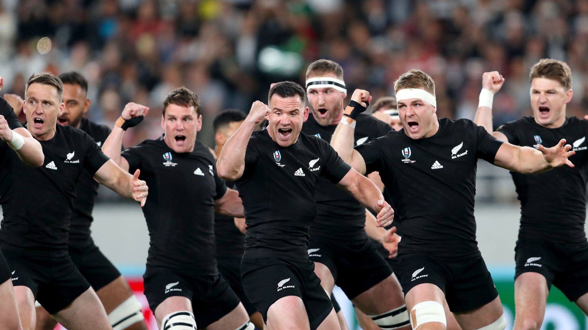 Kicks, blows as New Zealand beats Australia to sweep Bledisloe series