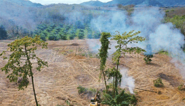 Human activities that lead to carbon emissions by forests