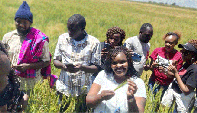 Making agriculture profitable and cool